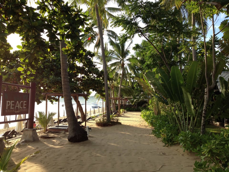 Morgenstimmung .. NH Collection Samui Peace Resort