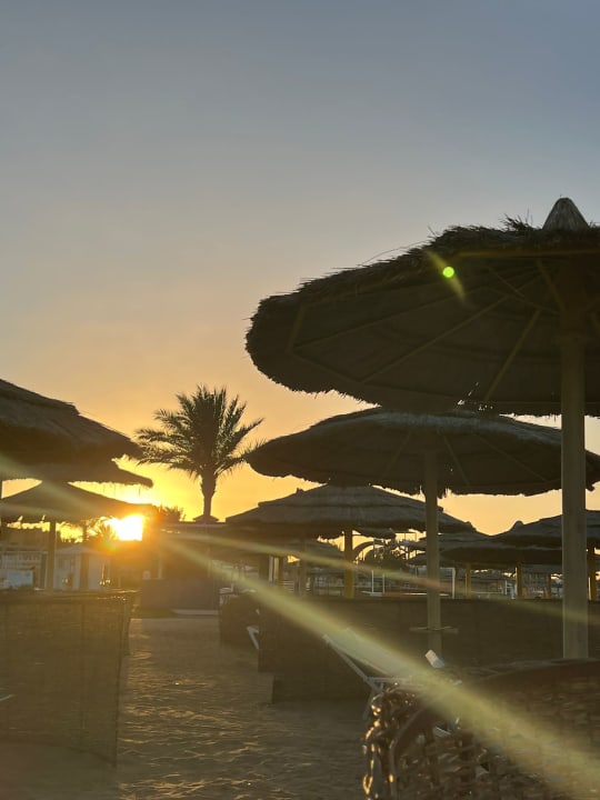 Strand Hotel Titanic Palace