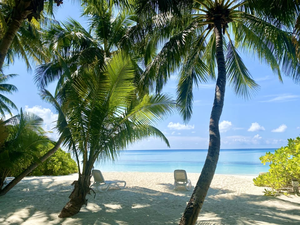 Strand Kuramathi Maldives