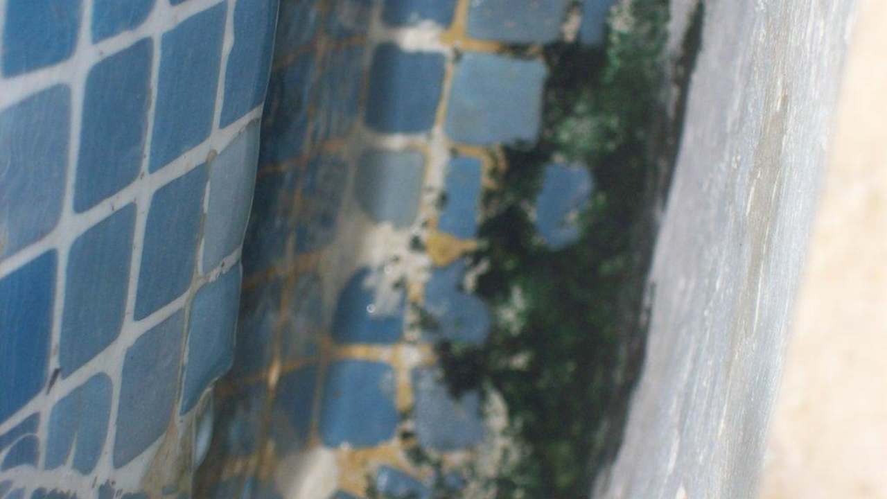 Schimmel Pool Orient Life Resort Hotel