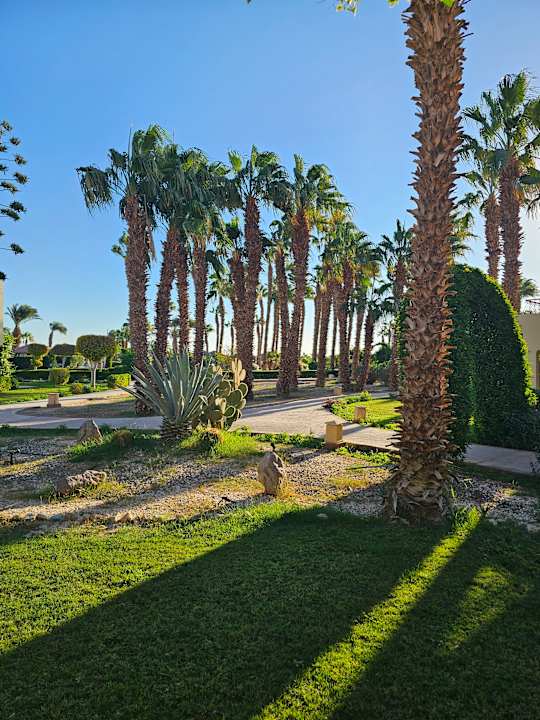 Ausblick Lotus Bay Beach Resort