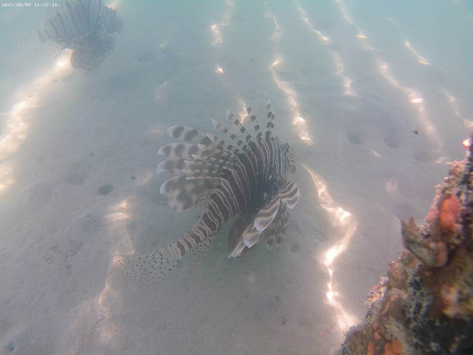 Strand Casa Mare Resort