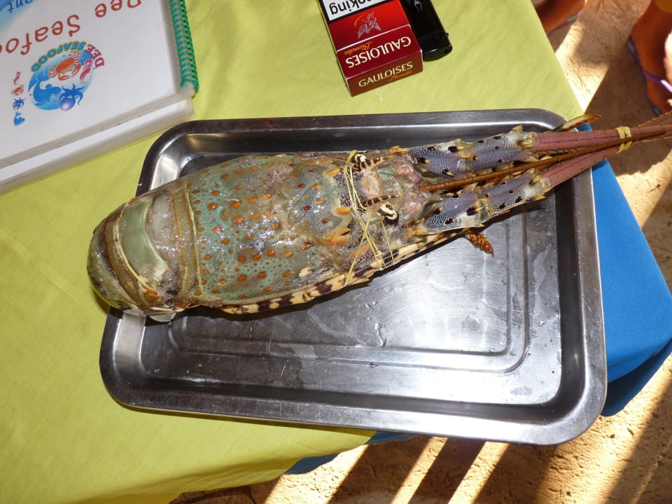 Lobster Khaolak Oriental Resort - Adults only