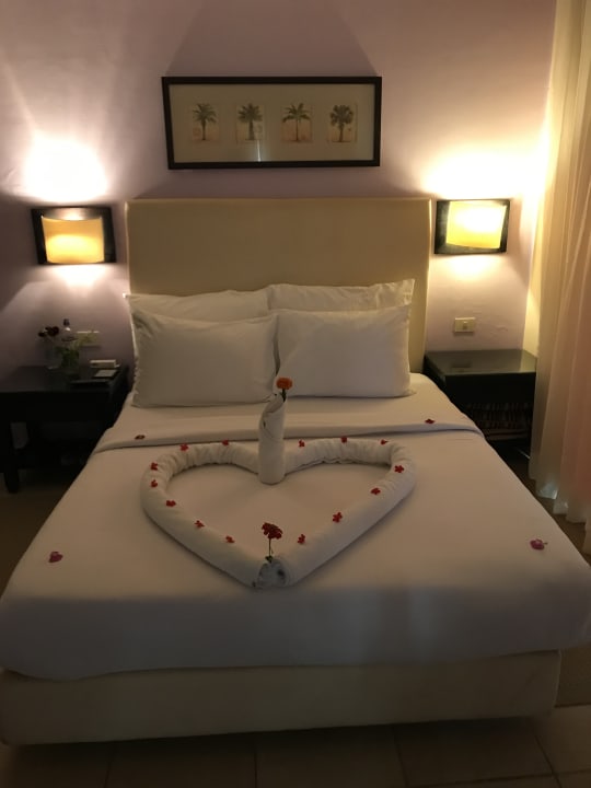 Zimmer JAZ Neo Saraya Palms