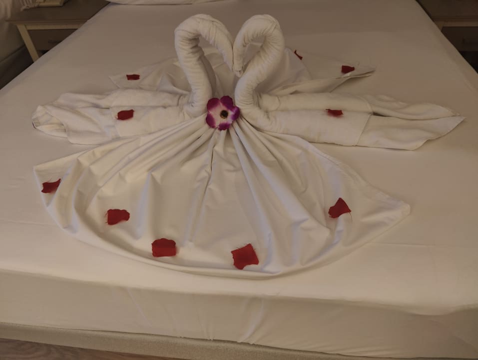 Zimmer Aydinbey Kings Palace & Spa