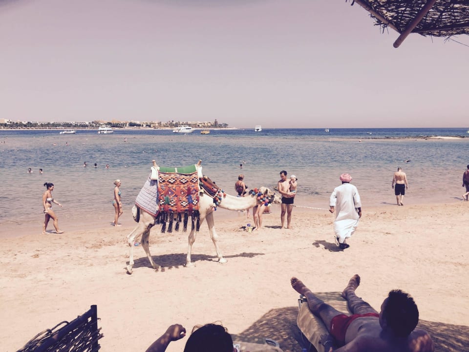 Blick von der Liege Jaz Aquaviva