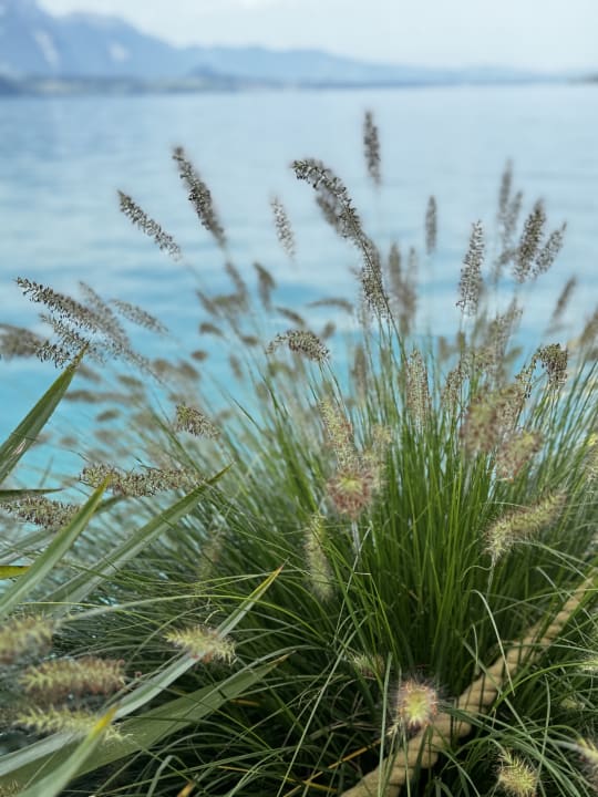 Gartenanlage Beatus Wellness- & Spa-Hotel