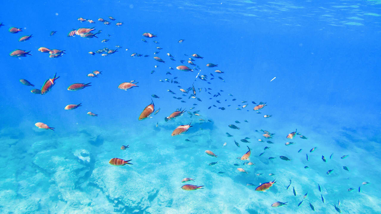 Strand Crystal Springs Beach Hotel