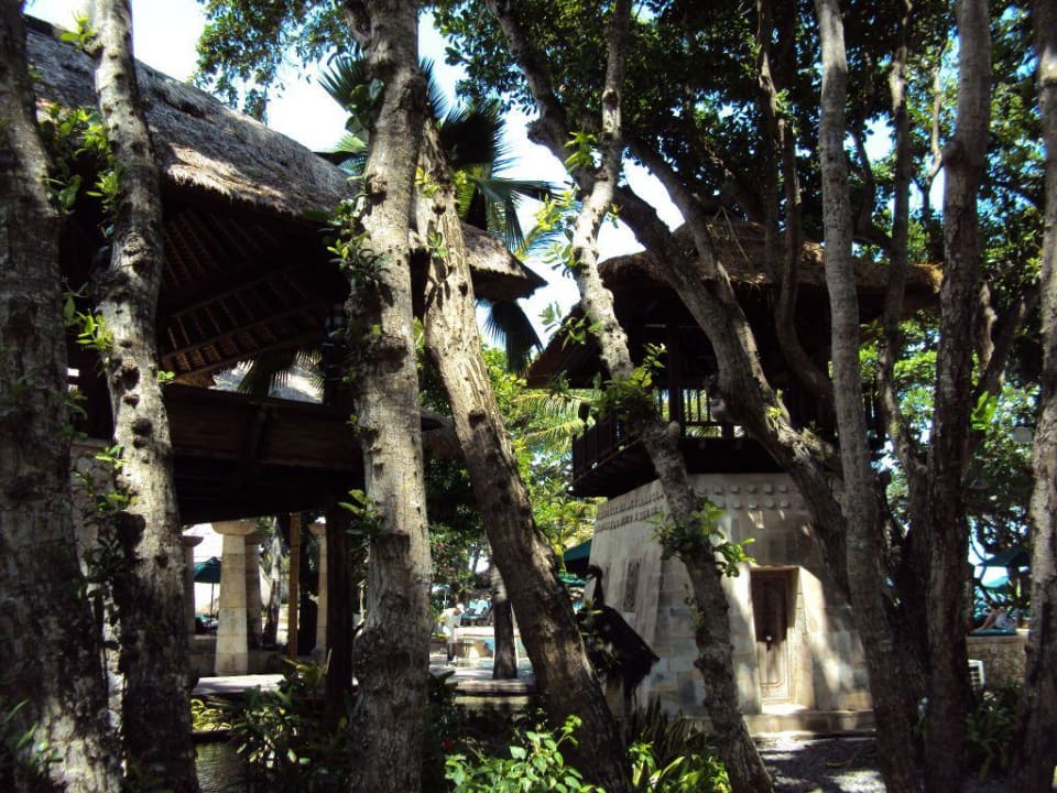 Garden Novotel Bali Benoa Hotel