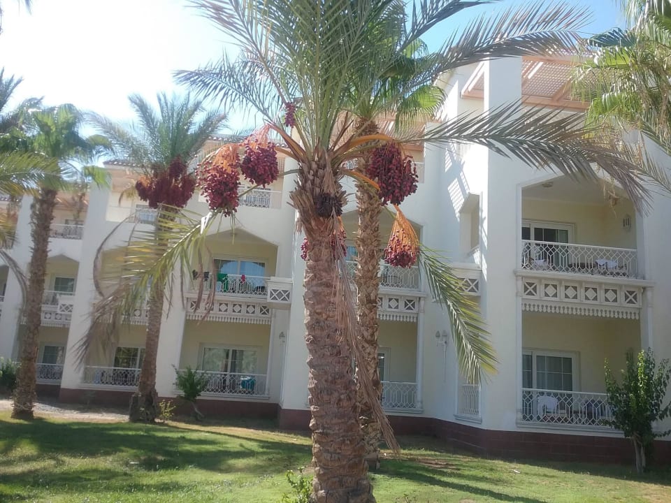 Unsere Zimmer mit Balkon von außen The Grand Hotel Hurghada