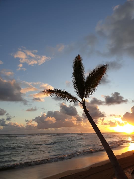 Strand Wyndham Alltra Punta Cana