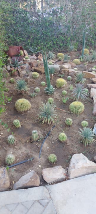 Gartenanlage Hotel JAZ Makadi Star & Spa