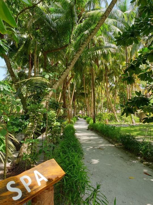 Gartenanlage Filitheyo Island Resort