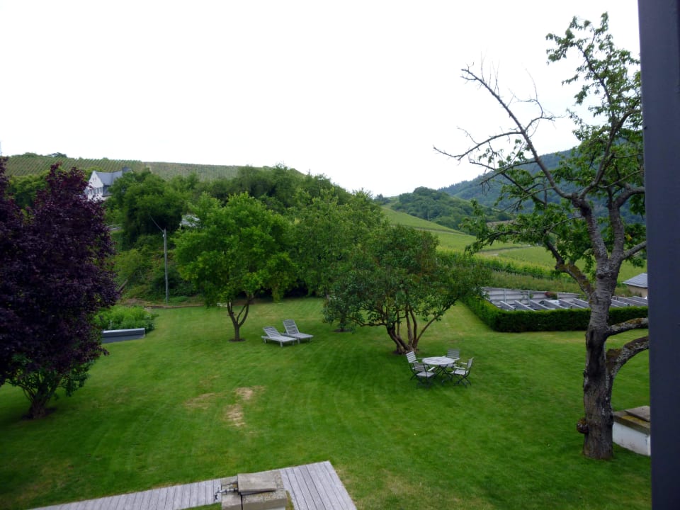 Blick aus dem Zimmer in den Garten Weingut & Gästehaus Gut Hermannsberg