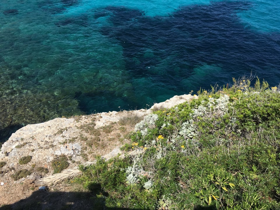 Strand Alua Calas de Mallorca Resort