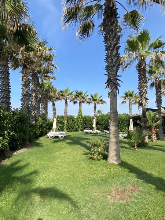 Gartenanlage Saturn Palace Resort Hotel