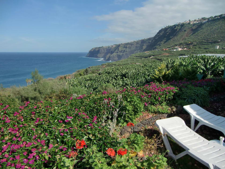 Blick über die Finca zur Küste Finca El Rincon