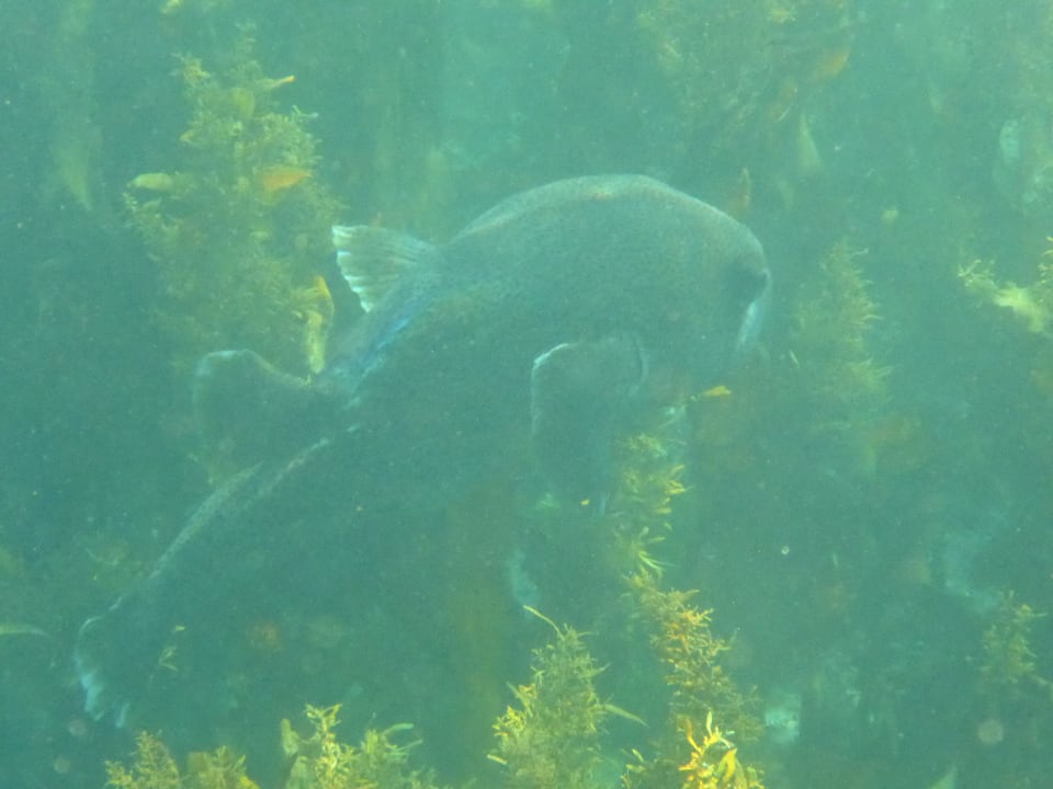 Strand Wyndham Garden Salalah Mirbat