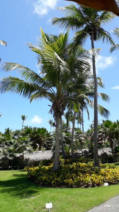 Außenansicht Grand Palladium Select Bávaro Resort & Spa