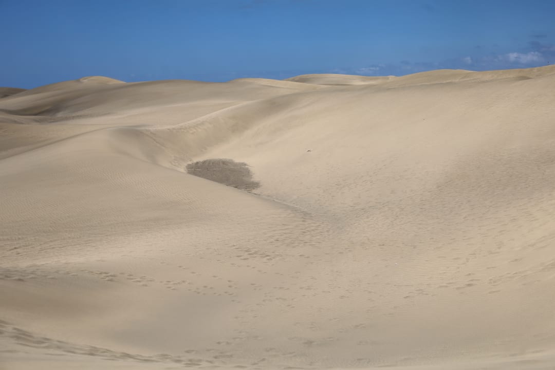 Sonstiges Hotel Riu Palace Maspalomas Adults Only