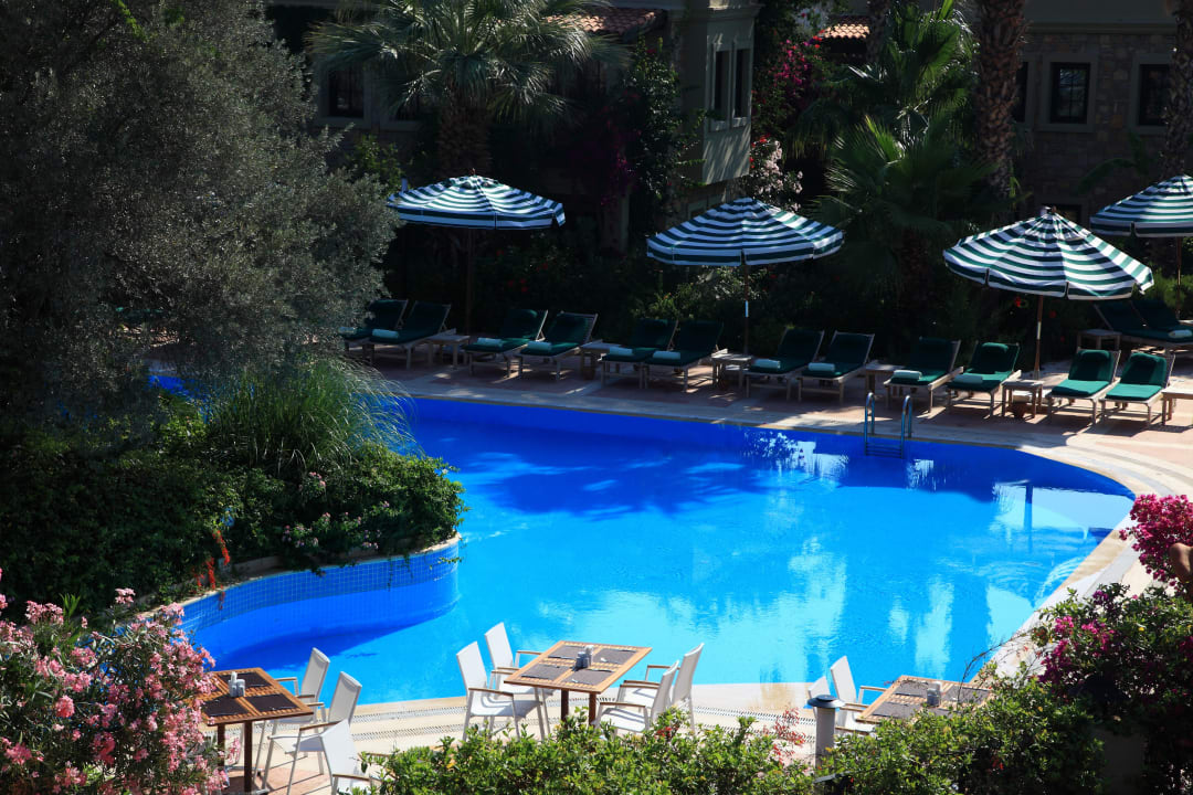 Pool Hotel Zeytinada