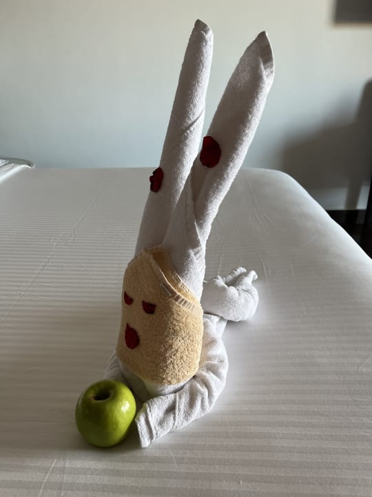 Zimmer Steigenberger Makadi Hotel - Adults only