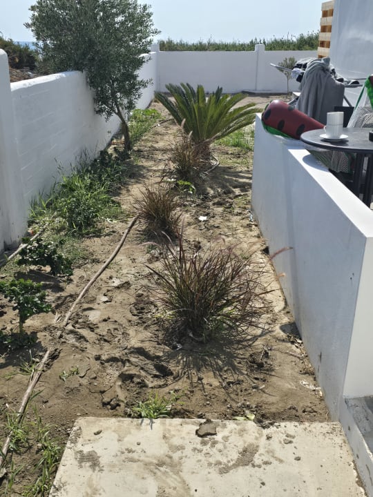 Zimmer Evita Bay Hotel