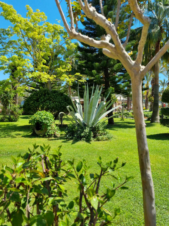 Gartenanlage Saphir Resort & Spa