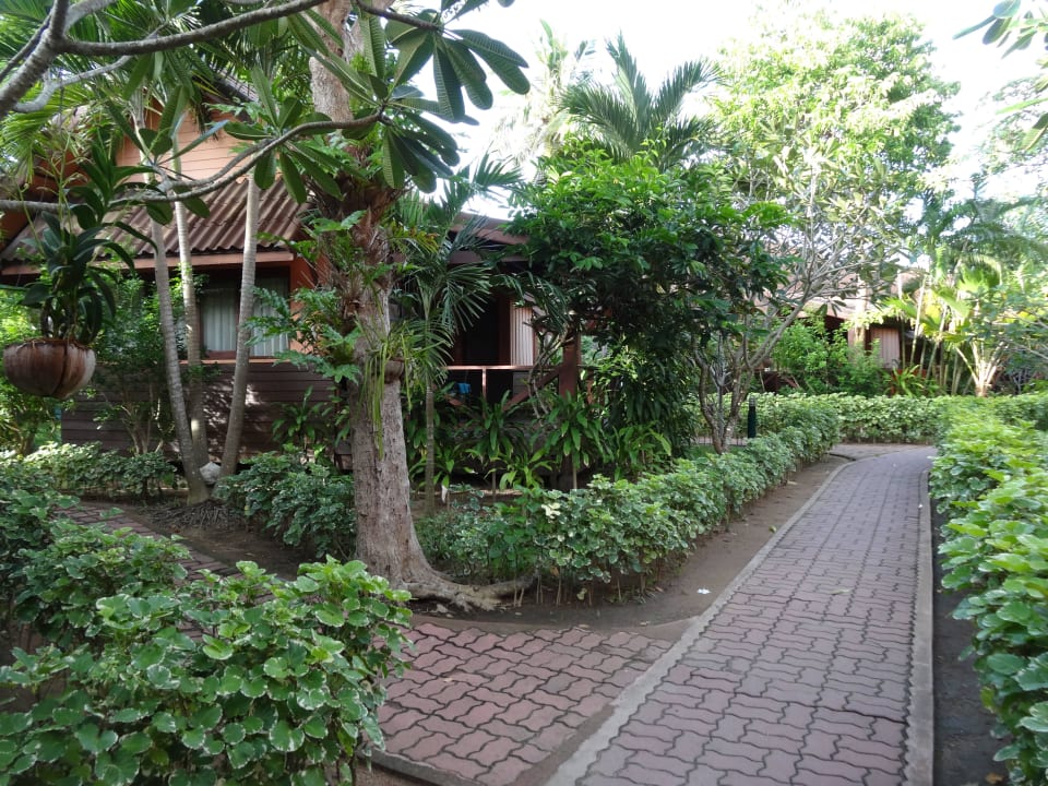 Der Weg zum Strand/Pool/Restaurant Pinnacle Samui Resort