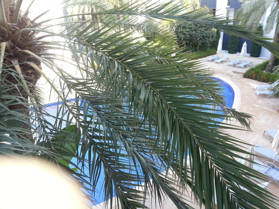 Pool für Erwachsenen Las Gaviotas Suites Hotel