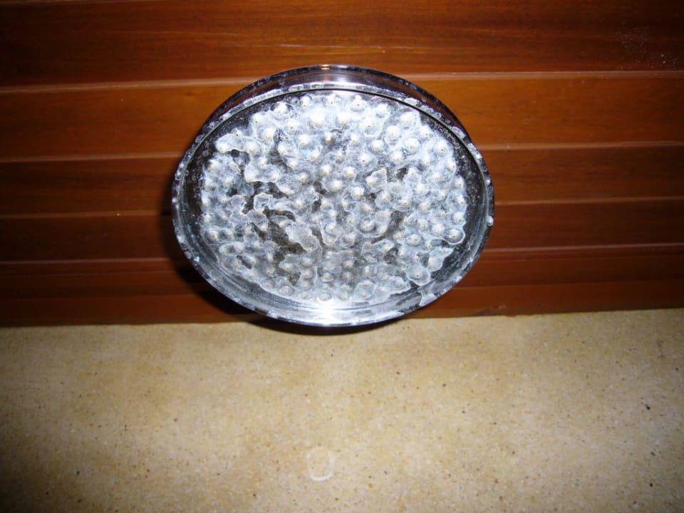 Duschkopf Muang Samui Spa Resort