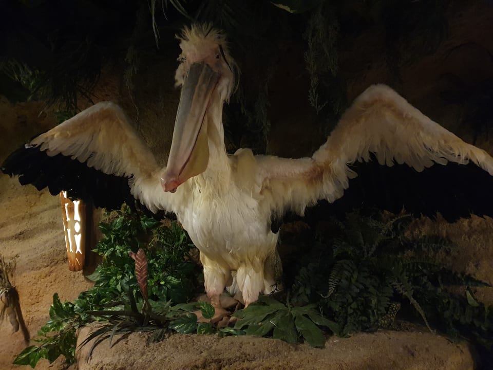 Gastro Ferienwohnungen Ferienpark Weissenhäuser Strand