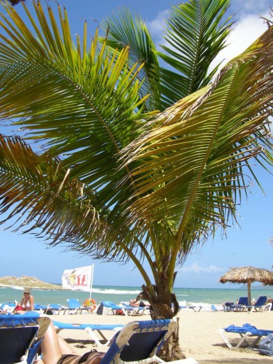 Hotelstrand Hotel Costa Caribe Beach