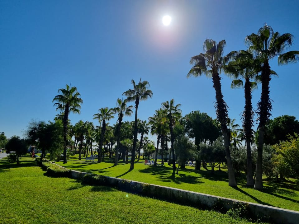 Gartenanlage Hotel Orfeus Park