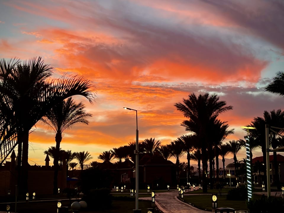 Außenansicht Pickalbatros Aqua Blu Resort - Sharm El Sheikh