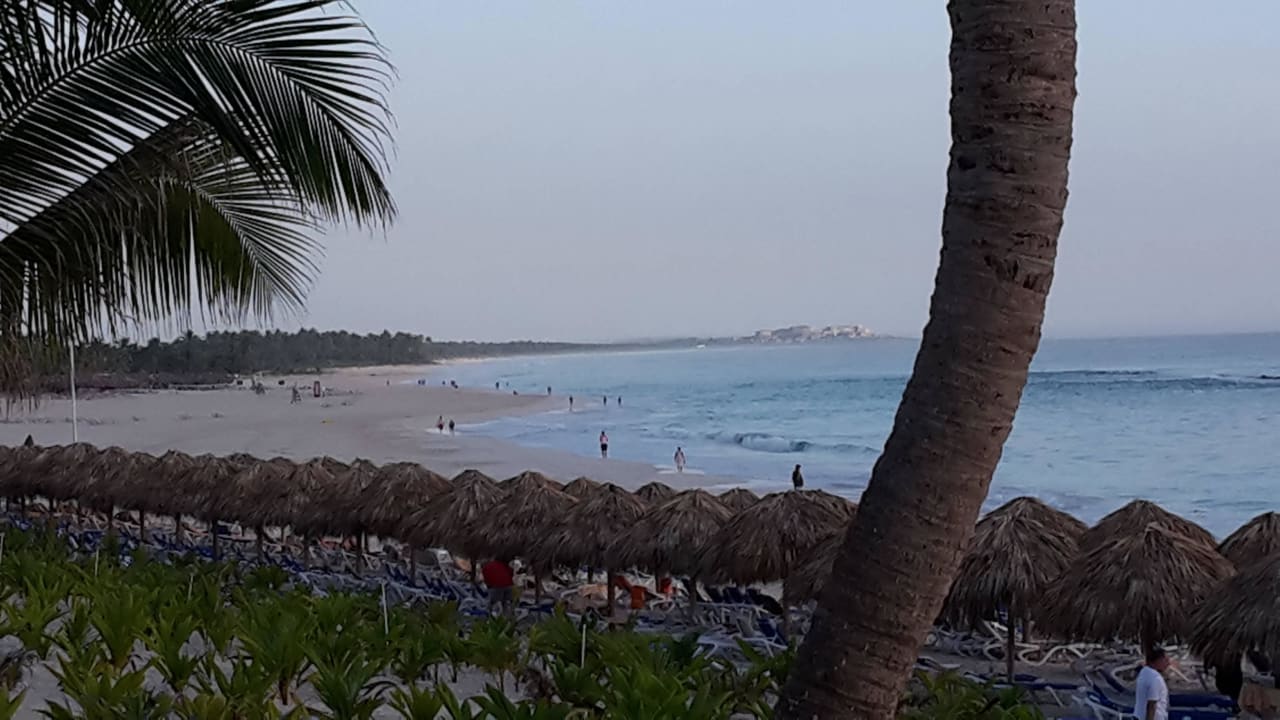 Meerblick Hotel Riu Republica - Adults only