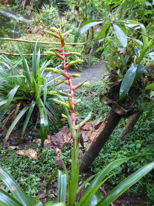 In der Anlage unterwegs Hotel Sachatamia Lodge