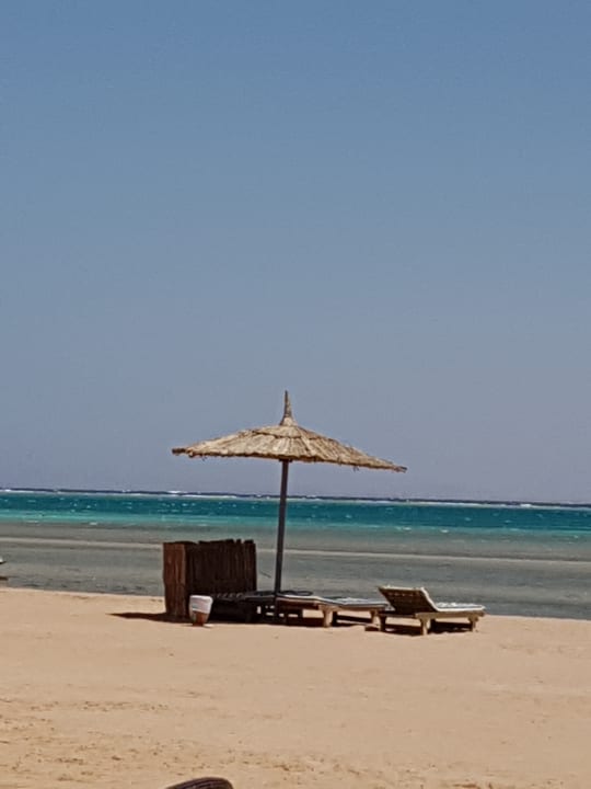 Strand Coral Sea Waterworld