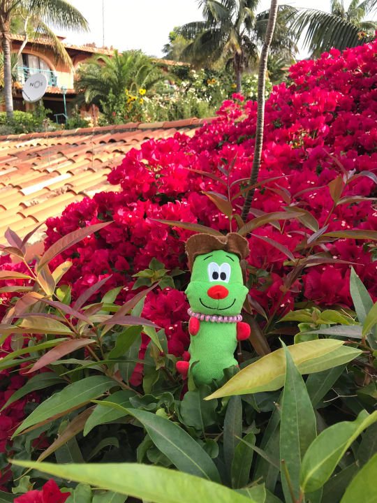 Gartenanlage Hotel Quinta Splendida Wellness & Botanical Garden