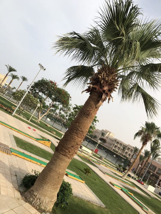 Sport & Freizeit Beach Albatros Resort