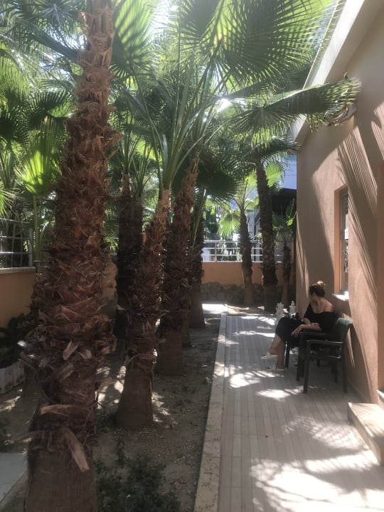 Außenansicht Dizalya Palm Garden