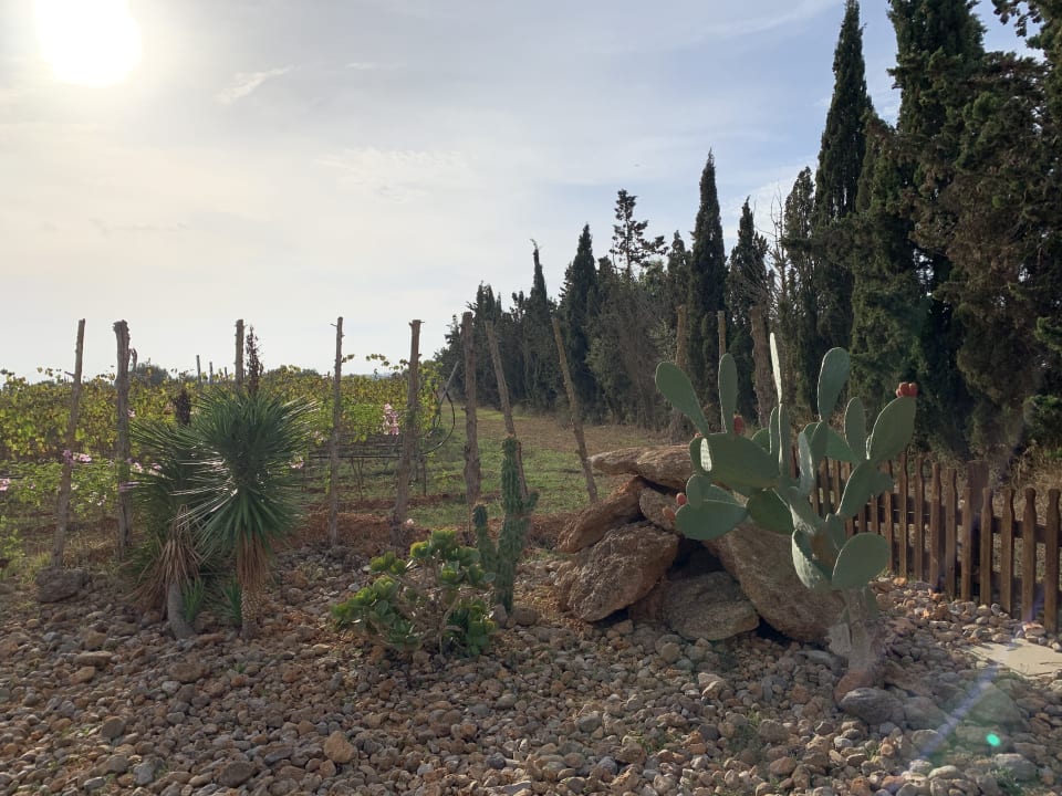 Außenansicht Resident Landhotel Can Davero