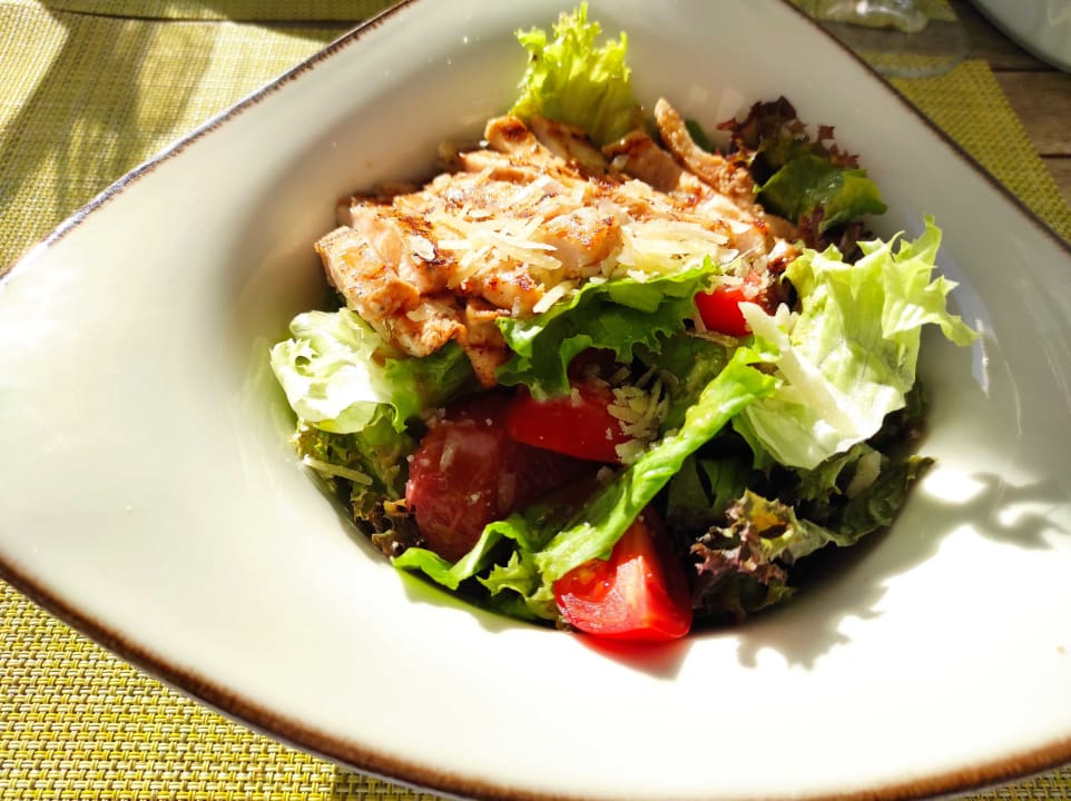 Gastro Acanthus Cennet Barut Collection