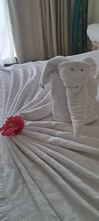 Zimmer Aska Hotel Just in Beach