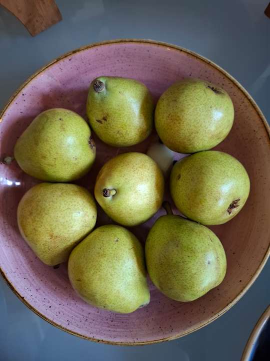 Gastro ARCHE Dwór Uphagena Gdańsk