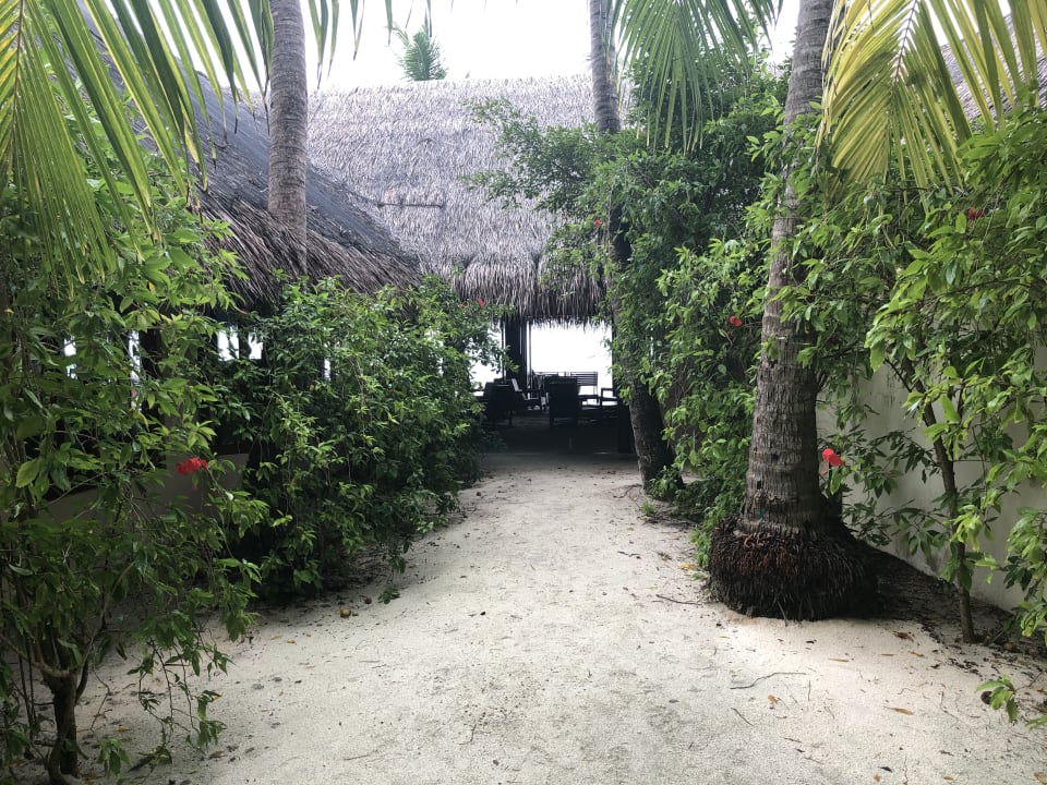 Gastro Summer Island Maldives