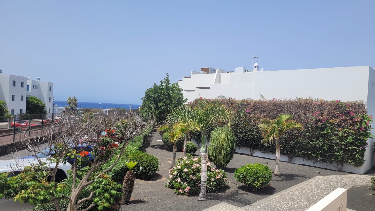 Ausblick allsun App.-Hotel Albatros