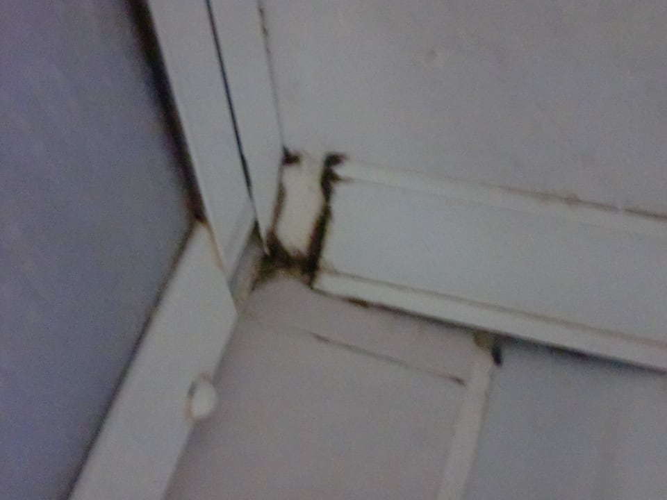 Immer wieder Schimmel!!!! Side Alegria Hotel & Spa - Adults only +16