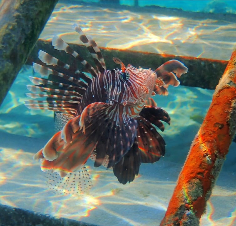 Sport & Freizeit Brayka Bay Resort