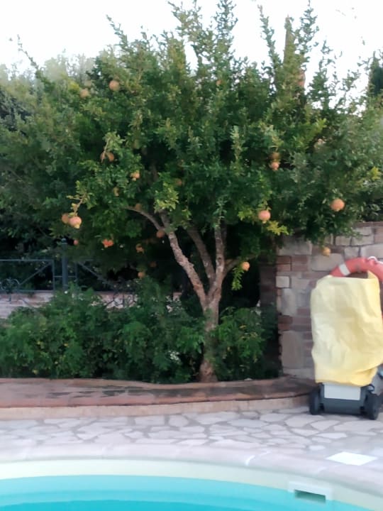 Außenansicht Ferienhaus La Vecchia Pieve